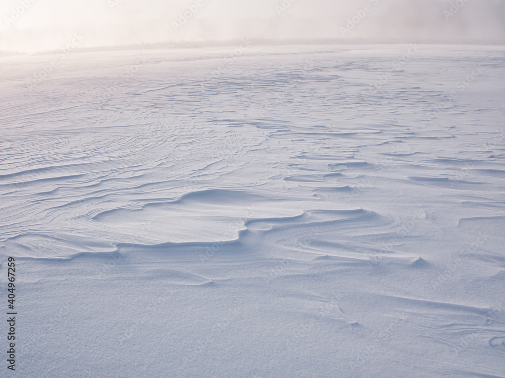 雪原 雪原