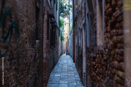 Fototapeta Naklejka Na Ścianę i Meble -  イタリア　ヴェネツィアの路地裏
