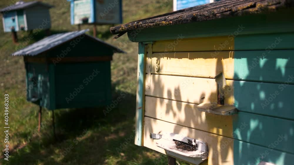 Group of beehives with flying bees in the garden. Organic honey production. Group of beehives with flying bees in the garden. Organic honey production.