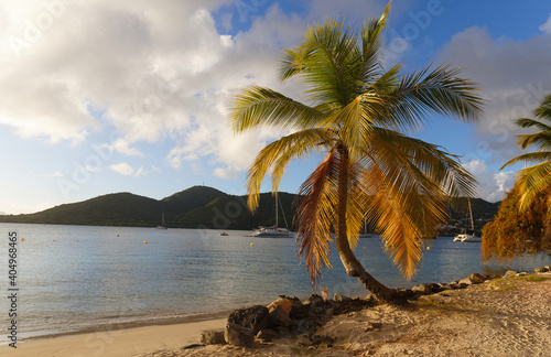 The picturesque Caribbean beach   Martinique island  French West Indies.