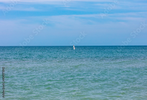 Obraz na płótnie Ocean with cloudy sky and flying little bird w salonie