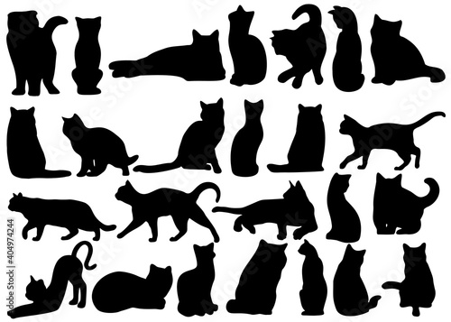 A large set of cats in all poses.