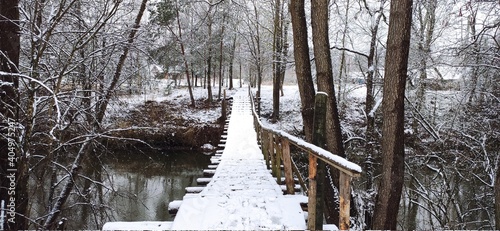 bridge over the river