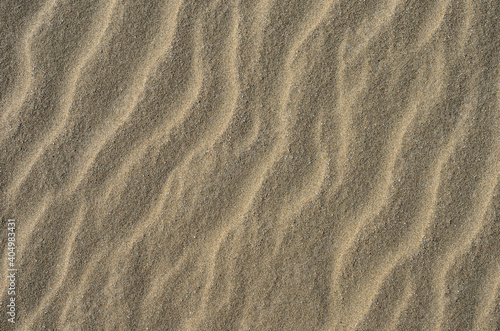 The texture of a sandy surface with natural waves formed by the winds.