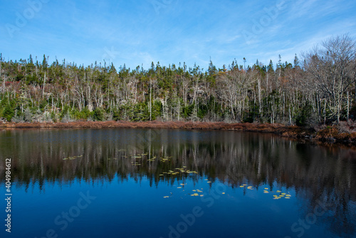 A mature green forest next to a large pond. The trees are coniferous such as pine, fir and spruce. The woods and sky are reflecting in the calm smooth water. The sky is blue with some white clouds.