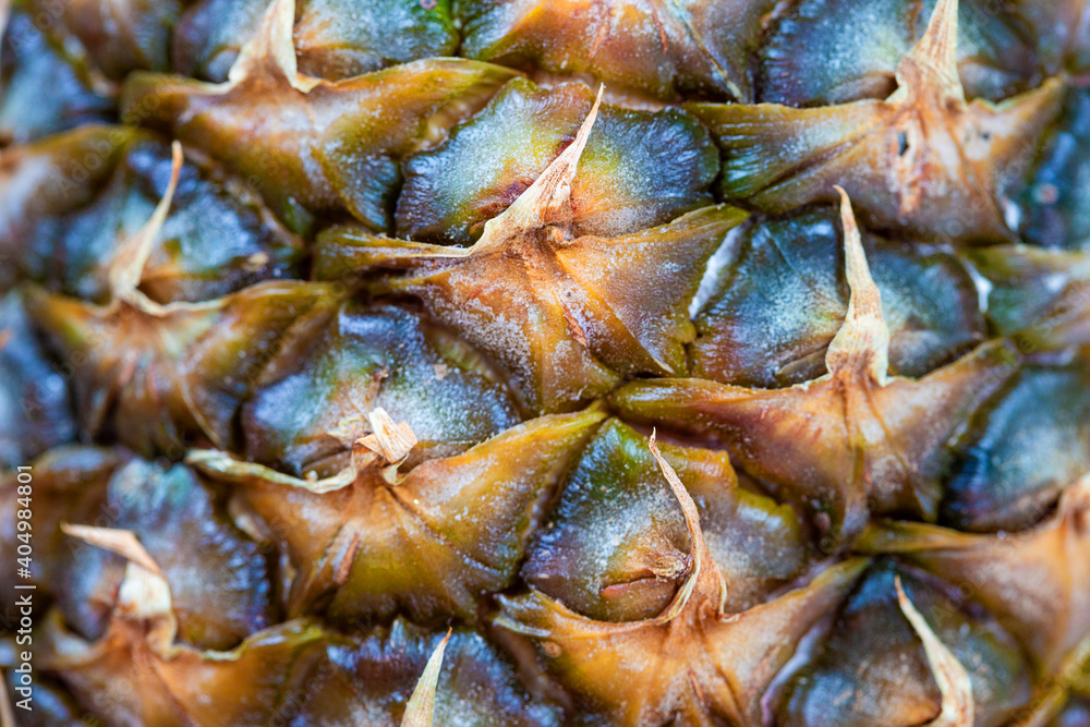 Surface of pineapple Skin close up texture Surface of pineapple Skin close up texture