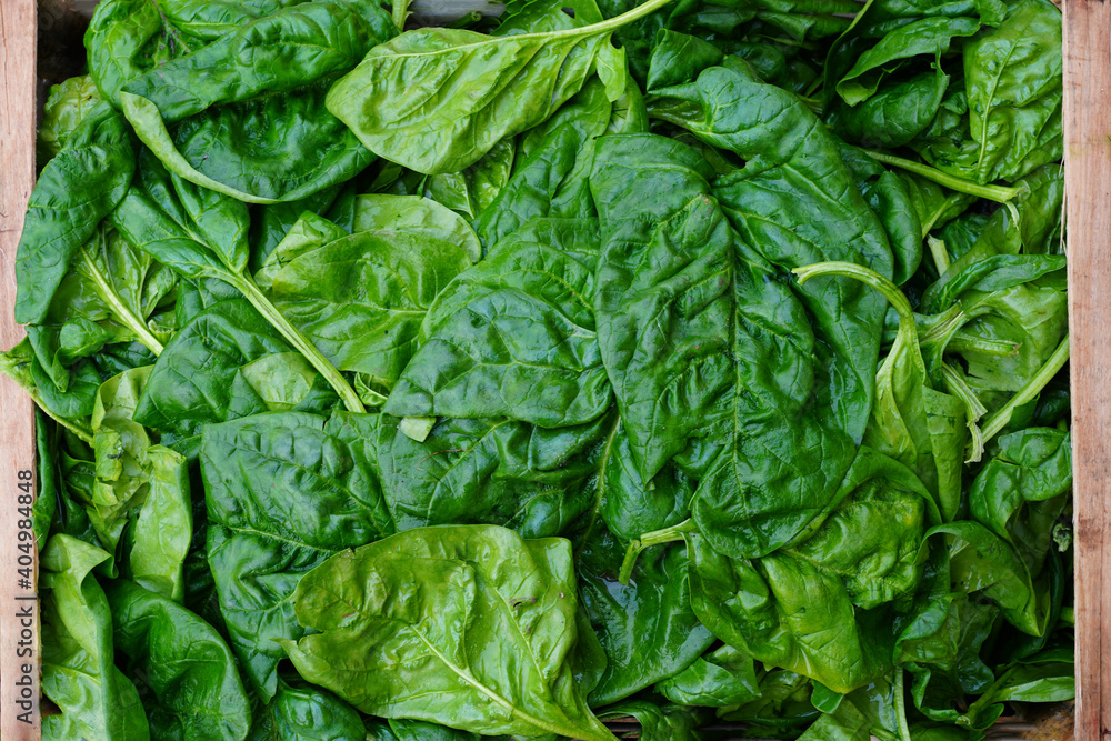 Crate of fresh green spinach at a farmers market Crate of fresh green spinach at a farmers market