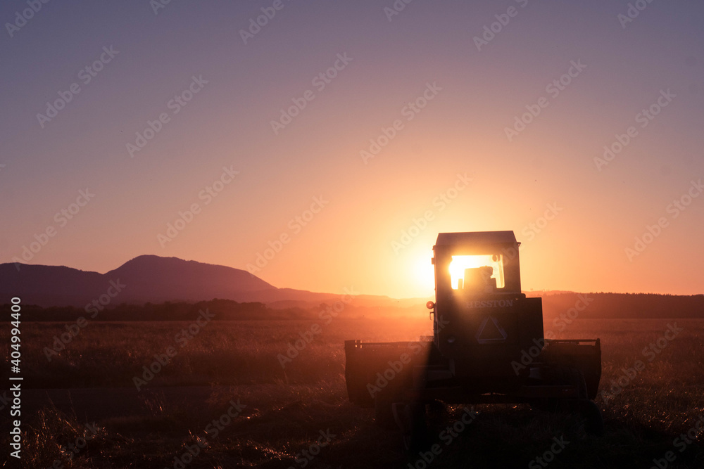 the sunset windrower