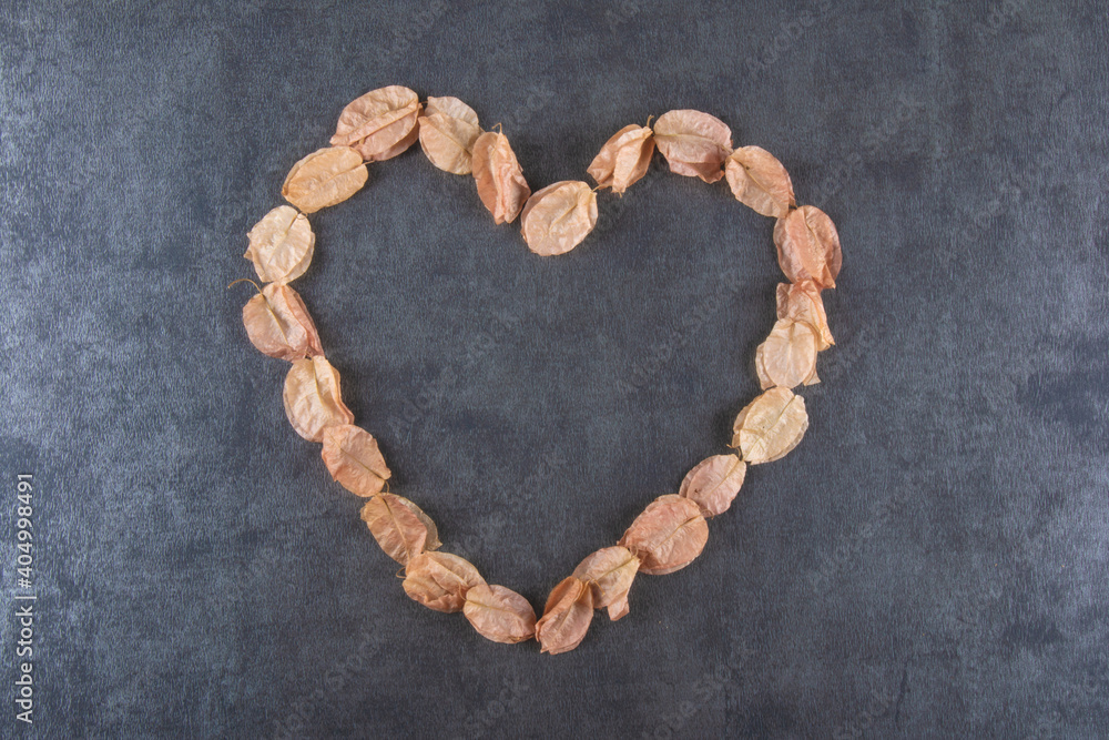 Valentine’s day background with bougainville petals forming a heart. Valentine’s day background with bougainville petals forming a heart.