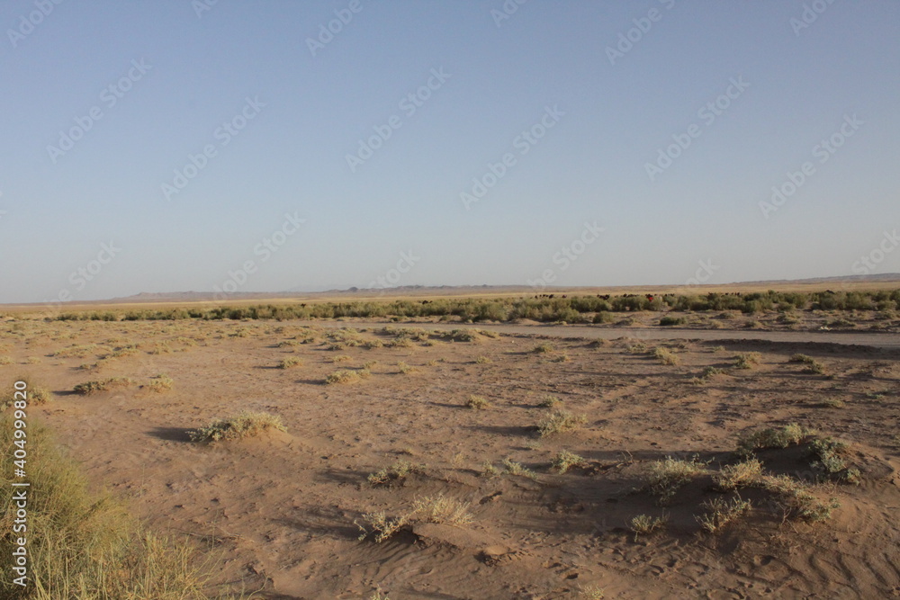 Iran desert