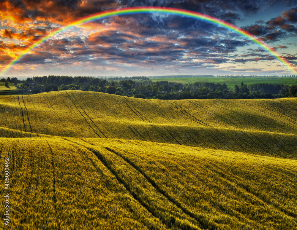 Scenic view of rainbow over green field Scenic view of rainbow over green field