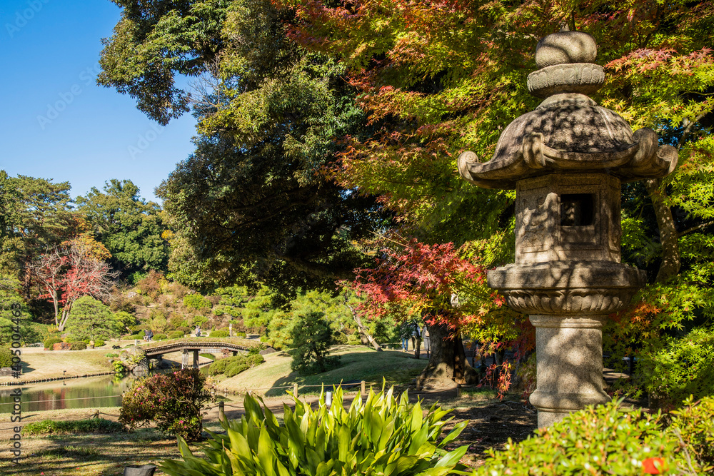 Obraz premium 秋の六義園