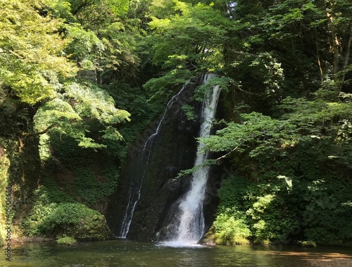 世界遺産・白神山地のふもと秋田県藤里町の新録の滝