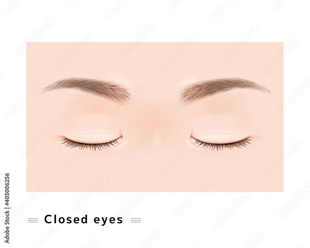 両目 まつげ 女性 顔 目 閉じた まぶた 眼科 症例 リアル イラスト Stock Vector Adobe Stock