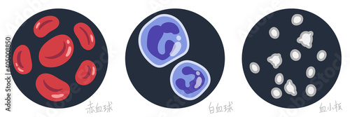 血液（赤血球・白血球・血小板）