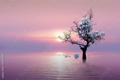 beautiful tree on the beach © iD's