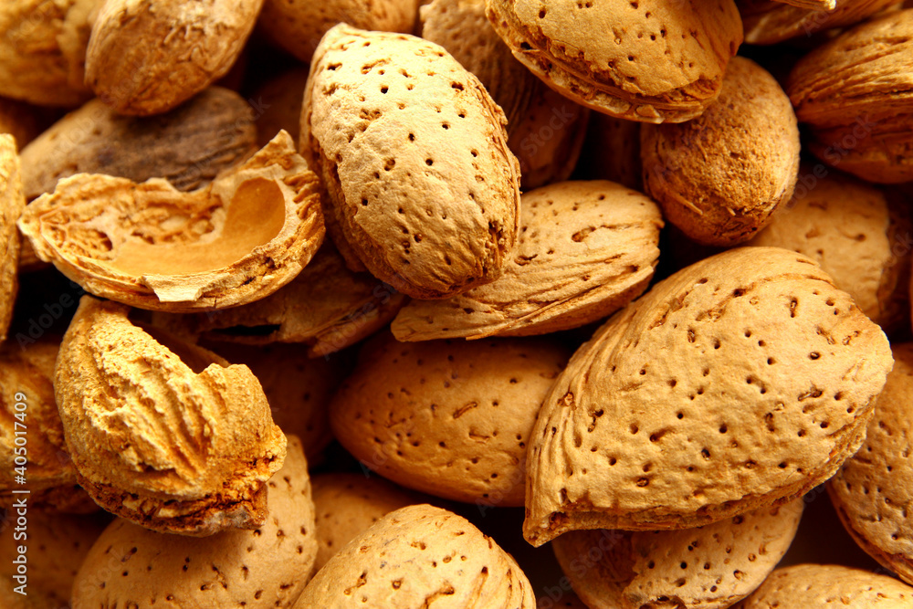 Shell raw almonds are delicious and healthy for snacking Shell raw almonds are delicious and healthy for snacking