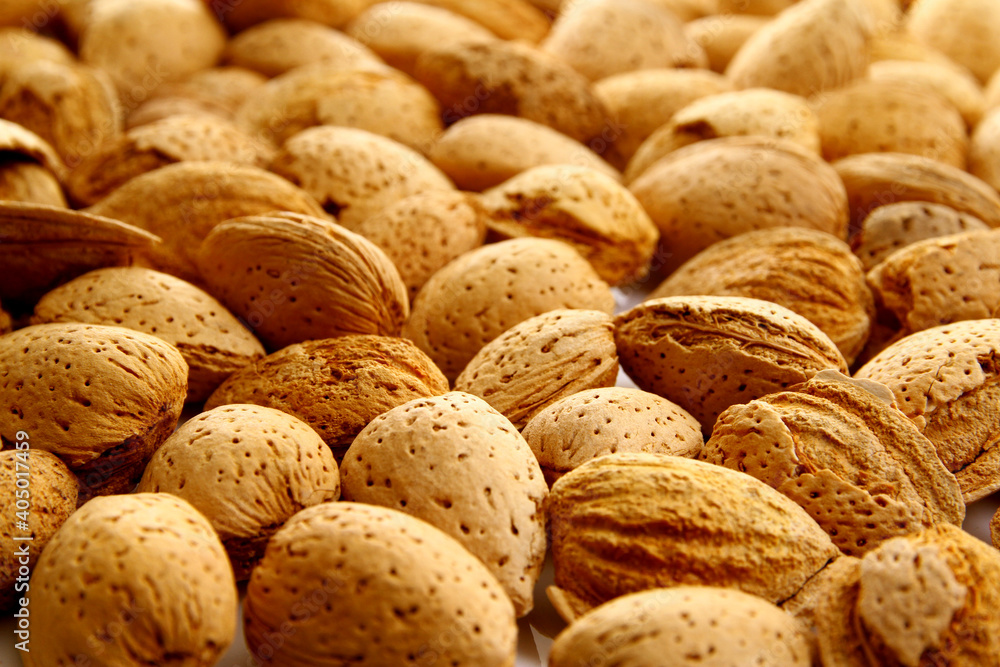 Shell raw almonds are delicious and healthy for snacking Shell raw almonds are delicious and healthy for snacking