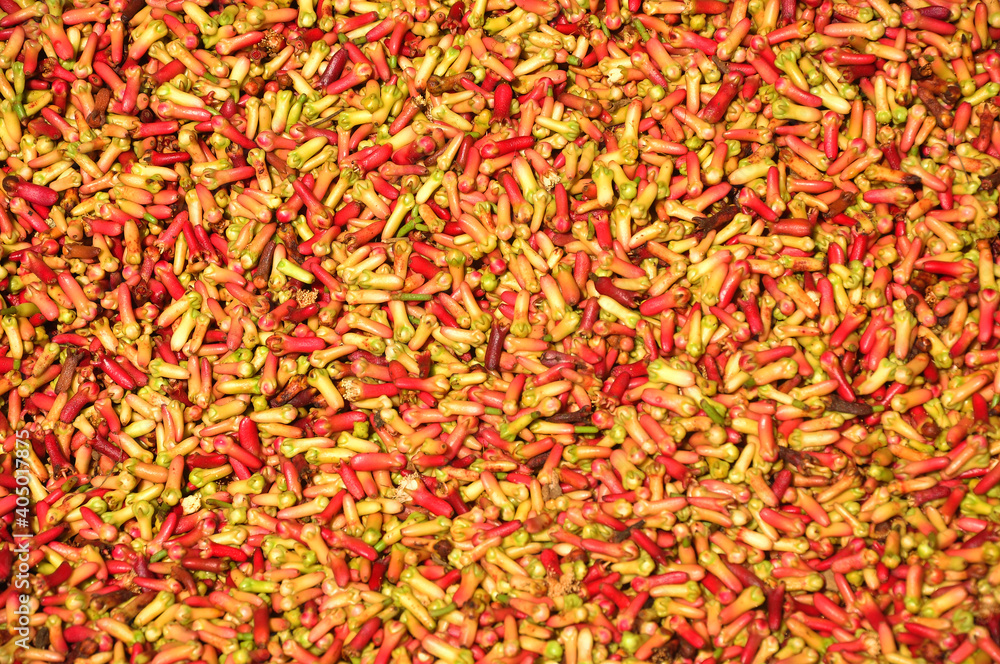 Colorful cloves flower background