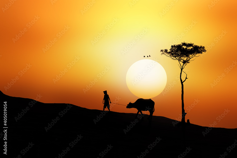 silhouette of a buffalo shepherd on a sunset silhouette of a buffalo shepherd on a sunset