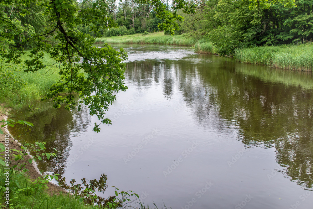 Bend of Ogre river. Coast overgrown with reeds. Branches of treees Bend of Ogre river. Coast overgrown with reeds. Branches of treees
