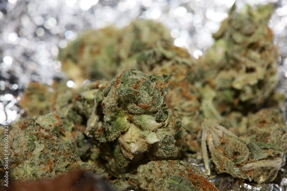 Medical marihuana super lemon kush close up modern background high quality prints Medical marihuana super lemon kush close up modern background high quality prints