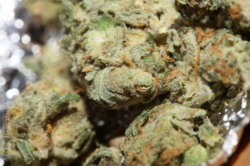 Medical marihuana super lemon kush close up modern background high quality prints