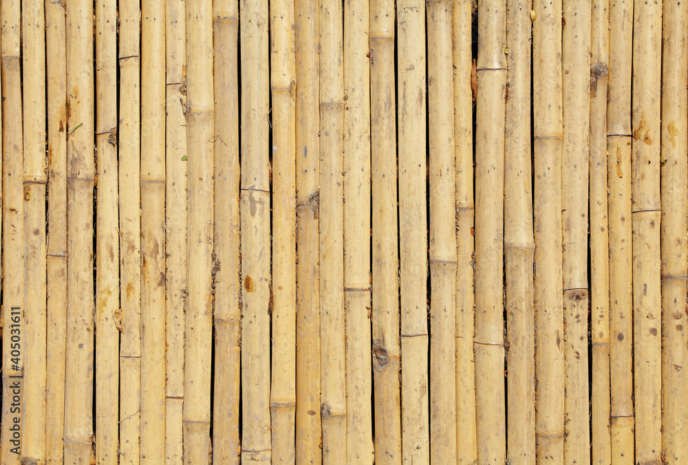 texture of yellow bamboo wall, background from fence texture of yellow bamboo wall, background from fence