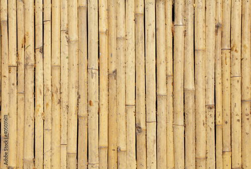 texture of yellow bamboo wall, background from fence