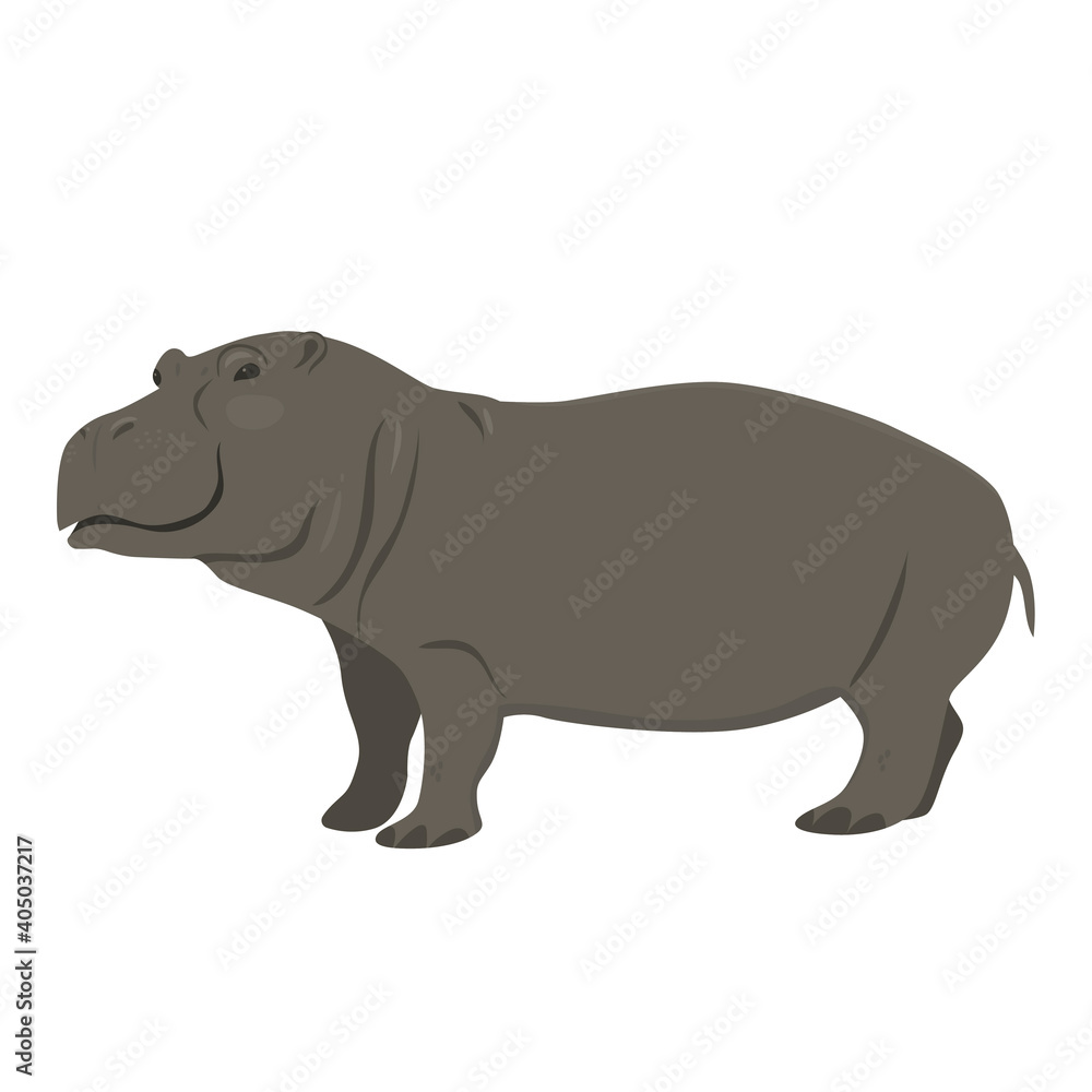 Fototapeta premium Hippopotamus isolated on white background. Vector graphics.