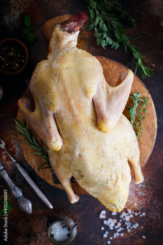 Raw fresh homemade indow duck on wooden board, selective focus photo