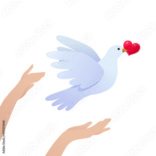 Human hands releasing dove with red heart in beak. Wedding and Valentines Day symbol. Beautiful white pigeon bird sign of romantic love vector illustration isolated on white background