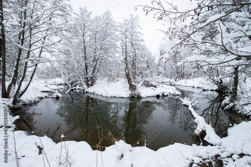 River in the winter forest