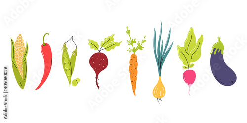 Set of fresh vegetables arranged in a row on a white background. Natural food, vegetarianism. Vector flat image, icon