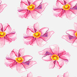 Pink anemones watercolor pattern. For decoration of gift wrapping, design works, postcards, design of fabrics and textiles, souvenirs, packaging design, invitation.