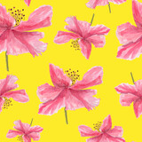 Yellow pink  poppies. For decoration of postcards, print, design works, souvenirs, design of fabrics and textiles, packaging design, invitation, wrapping, packaging, print.