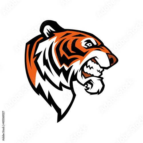 Tiger head vector illustration for t-shirt design  logo  icon  image  simple background