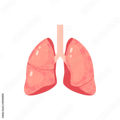 Human lungs. Internal organ, anatomy. Vector cartoon flat icon illustration isolated on white background.