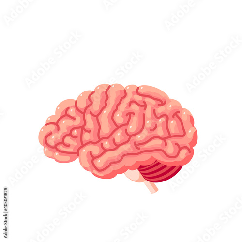 Human brain. Internal organ, anatomy. Vector cartoon flat icon illustration isolated on white background.
