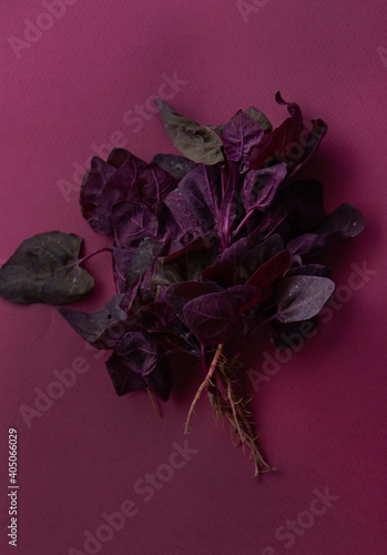 fresh purple orach photo