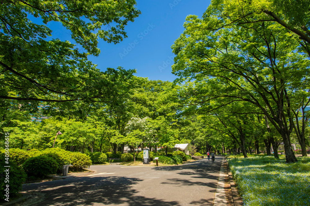 日比谷公園 日比谷公園