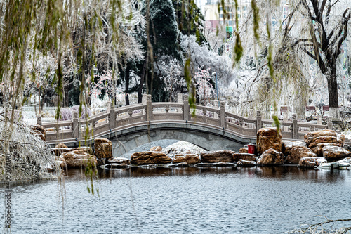 Photography Winter landscape of Changchun Peony Garden in China after rain and snow