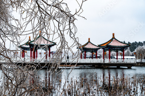 Wallpaper Mural Winter landscape of Nanhu Park in Changchun, China after rain and snow Torontodigital.ca