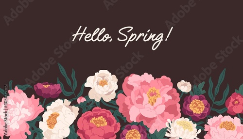 Horizontal floral backdrop with border of delicate blossomed spring peonies flowers and Hello Spring inscription. Botanical flat vector illustration isolated on dark background