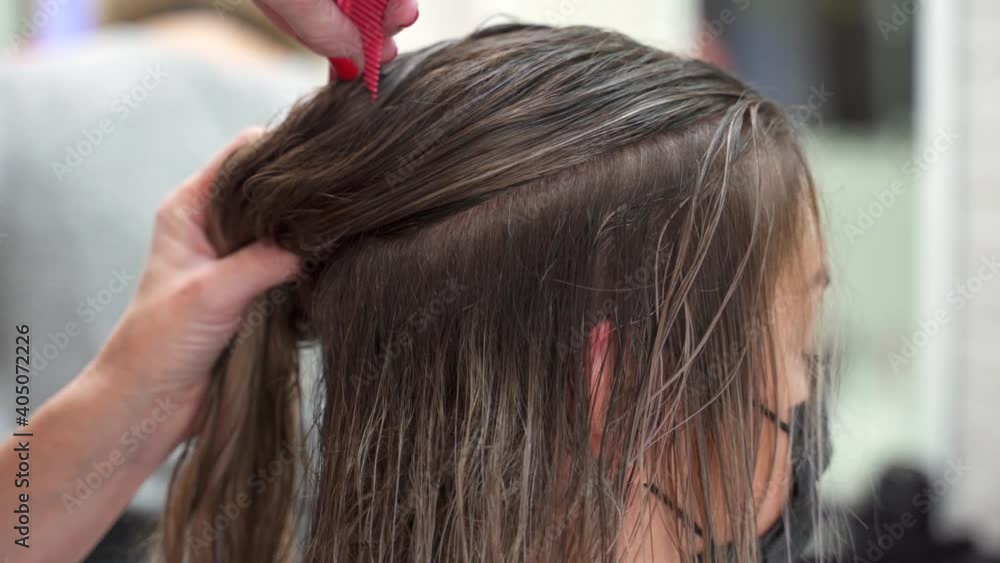 the hairdresser's hands separate part of the wet long hair on the head with a fine comb the hairdresser's hands separate part of the wet long hair on the head with a fine comb