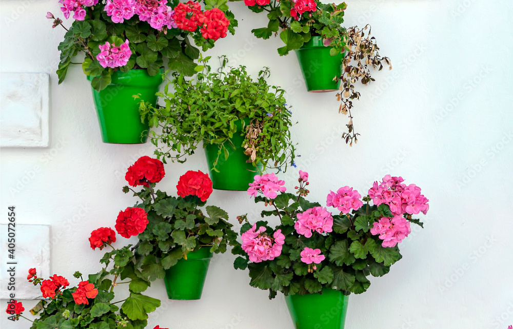 White wall decorated with flower pots