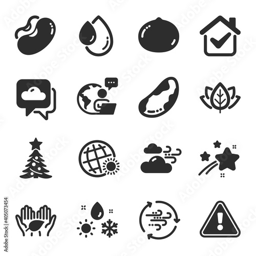 Set of Nature icons, such as Windy weather, Wind energy, Weather forecast symbols. Brazil nut, Organic tested, Oil drop signs. Beans, Christmas tree, Macadamia nut. Fair trade flat icons. Vector