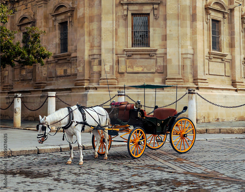 Horse carriage in front of the Giralda in Seville