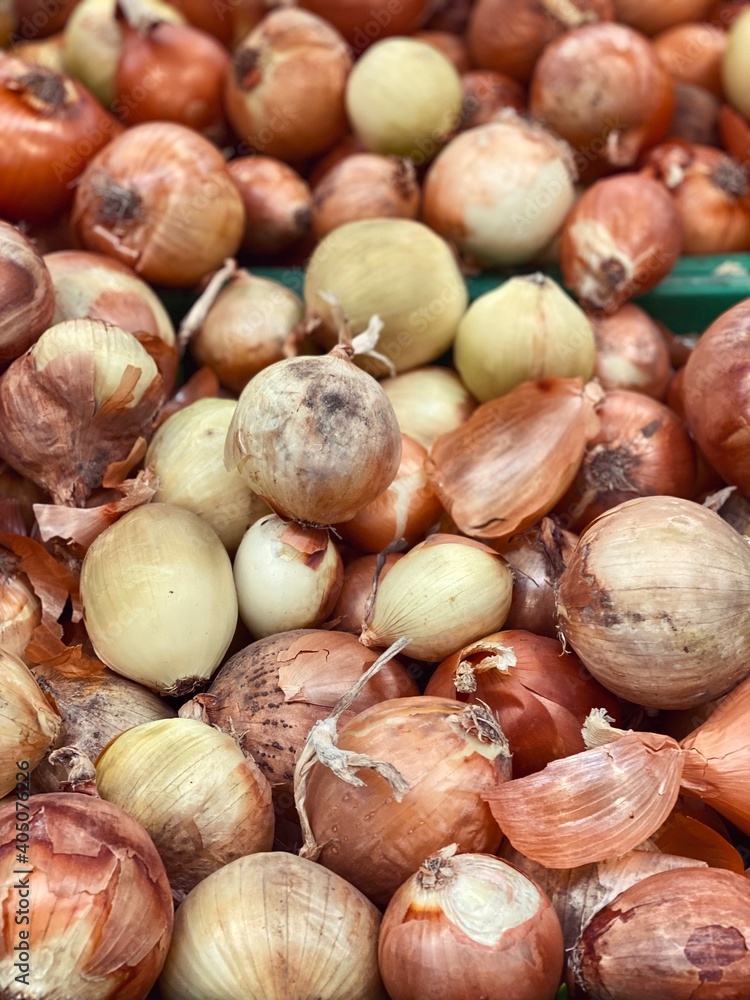 Obraz premium onions harvest in plastic boxes close up