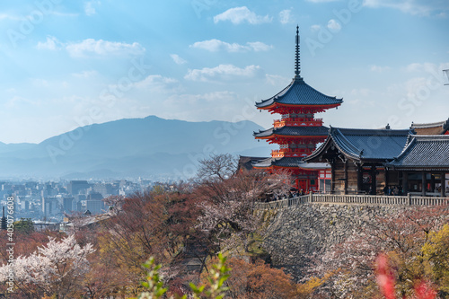 The red pagoda in Kiyomizu temple or Kiyomizudera and cherry blossom in foreground  the famous travel place of Kyoto  Japan.